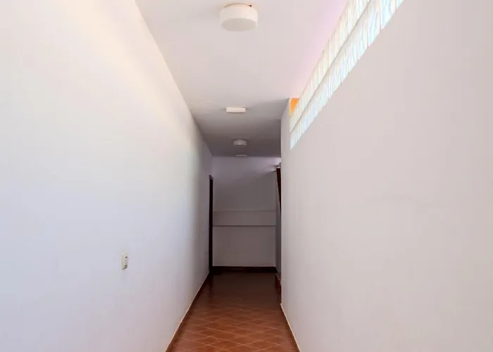 Abrigos Holidays Playa Daire